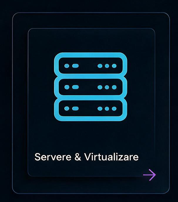 Servere & Virtualizare