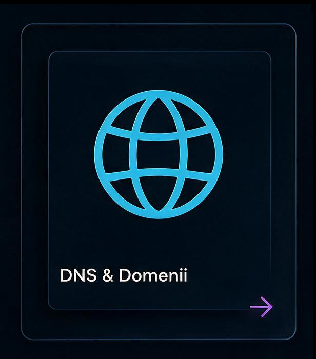 DNS & Domenii