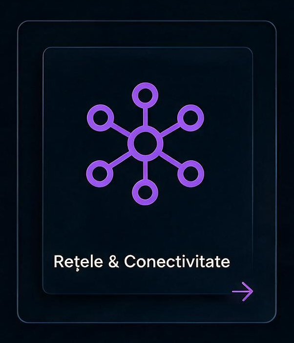 Rețele & Conectivitate